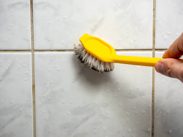 Best Certified Mold Removal  in Gorman, TX