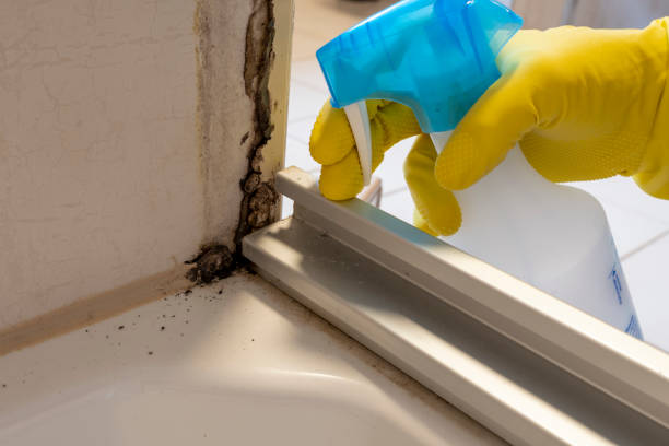 Best Emergency Mold Removal  in Gorman, TX