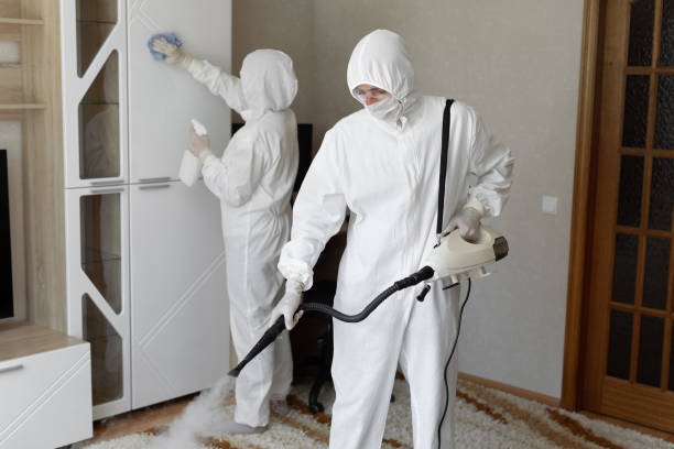 Best Residential Mold Removal  in Gorman, TX