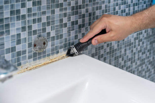 Best Commercial Mold Removal  in Gorman, TX