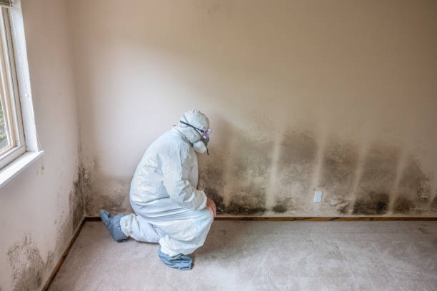 Best Mold Testing  in Gorman, TX